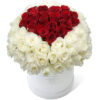White & Red rose