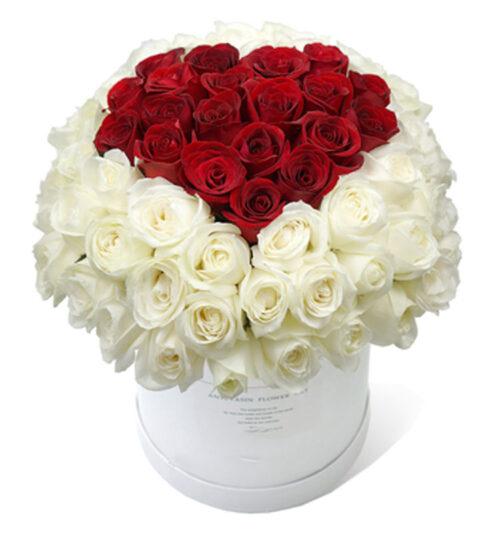 White & Red rose