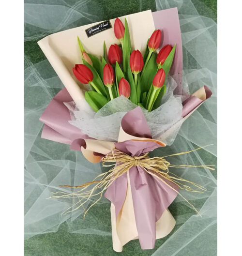 tulips malaysia