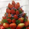 fresh strawberries decorated on a x’mas tree