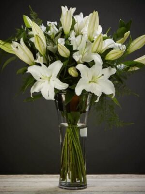 Mixed lilies in a vase