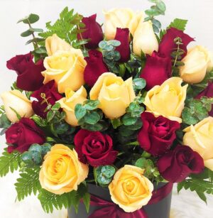 Mixed champagne & red roses in a box