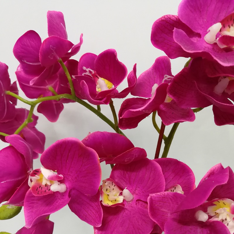 Artificial potted Phalaenopsis orchid - Blooming. Free delivery in PJ