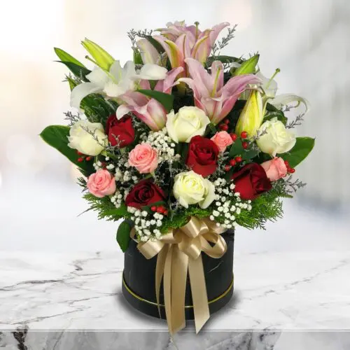 white/pink lilies arranged in a Box - Blooming