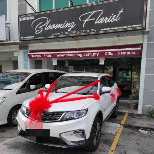 car deco wedding
