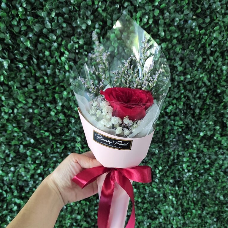 Single red rose in a hand bouquet - Blooming