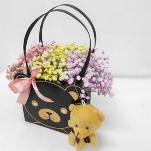 rainbow baby breath box