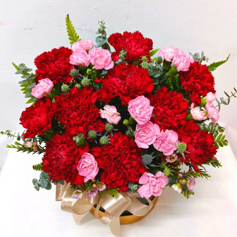 Classic Red carnation box for sasme day delivery - Blooming Florist