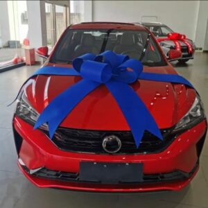 Big Car Ribbon Archives - Blooming