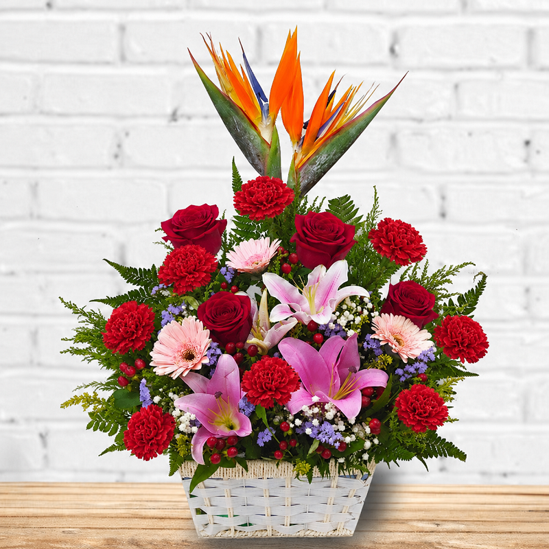 MTA010 Basket Arrangement